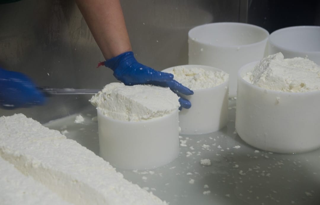 Queso Fresco