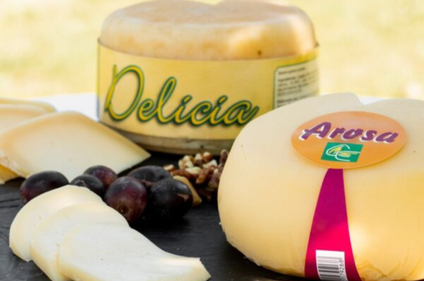 Pack Queixos da Casa