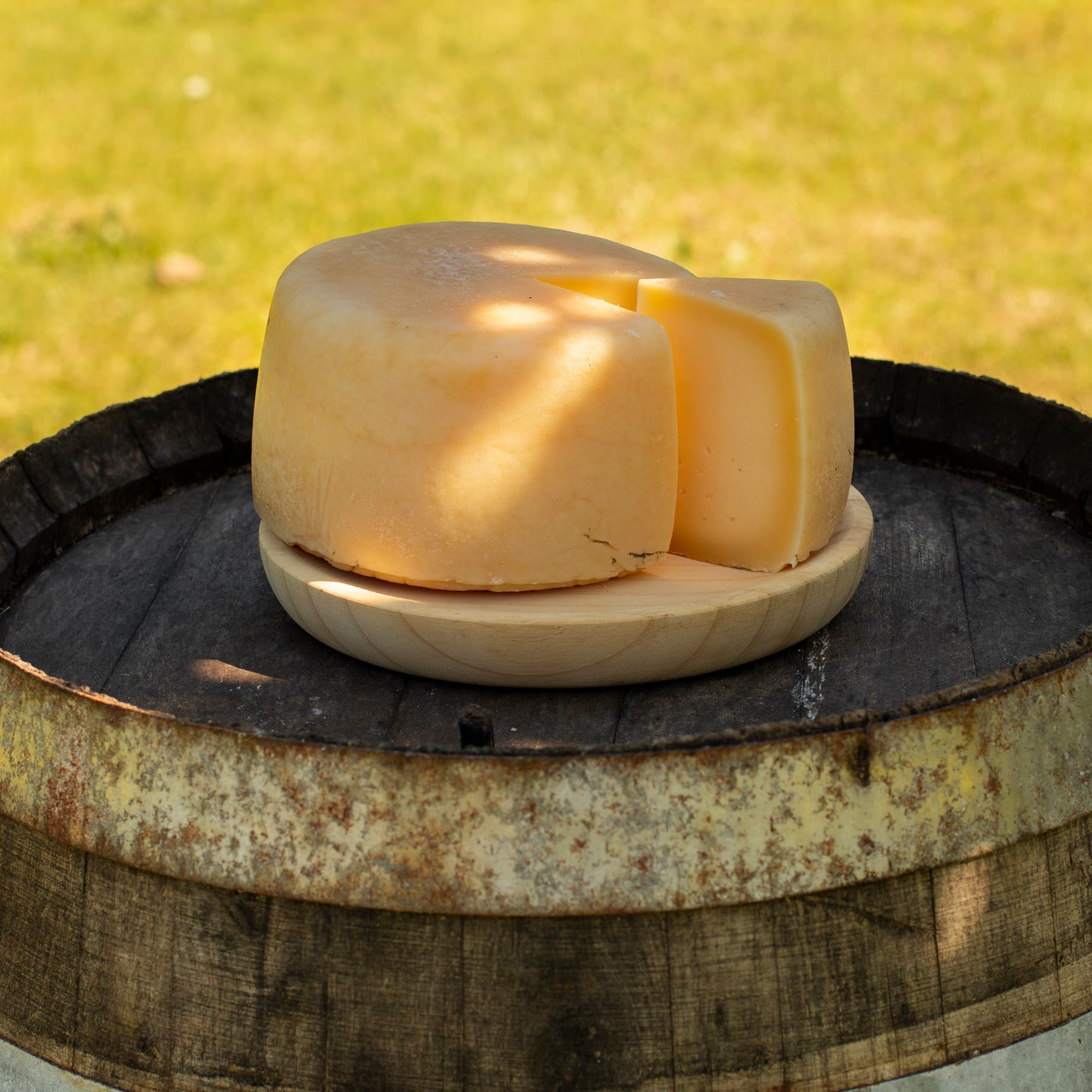 Queso Delicia